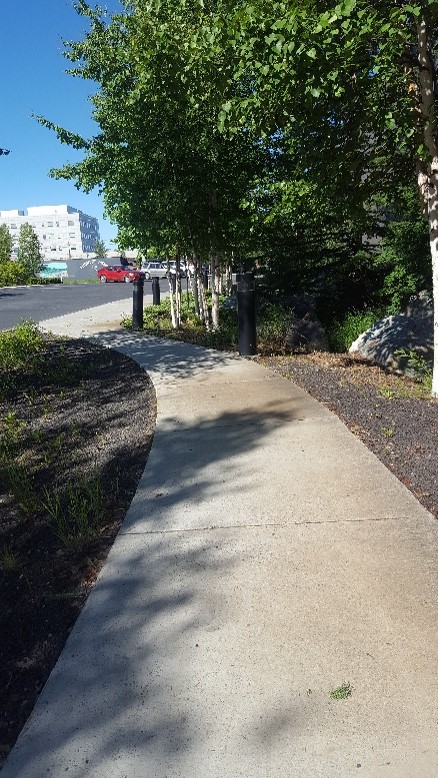 Image of a paved path