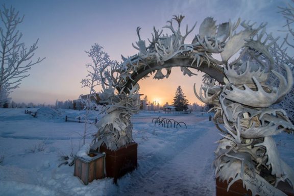 Antler Arch in Winter